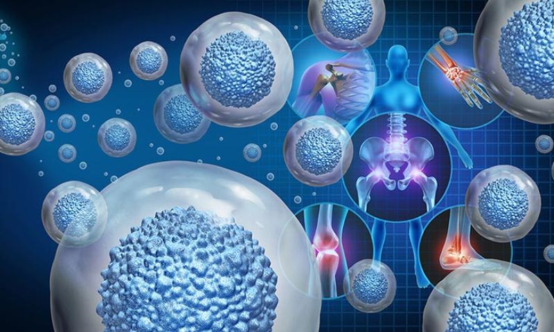 Điều trị viêm khớp nhiễm khuẩn