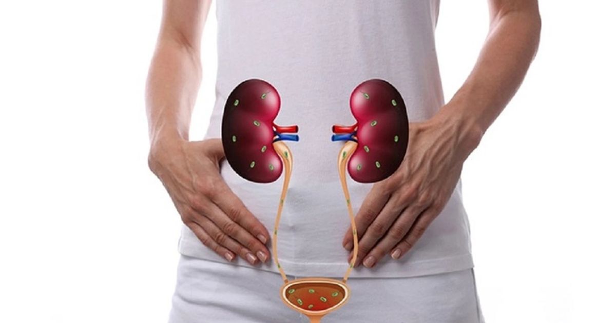 Nhiễm trùng đường tiểu là gì?
