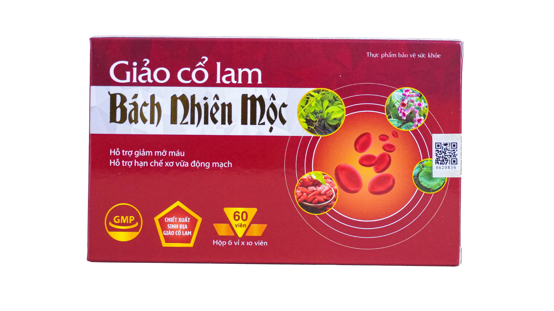 TPBVSK Giảo Cổ Lam Bách Nhiên Mộc