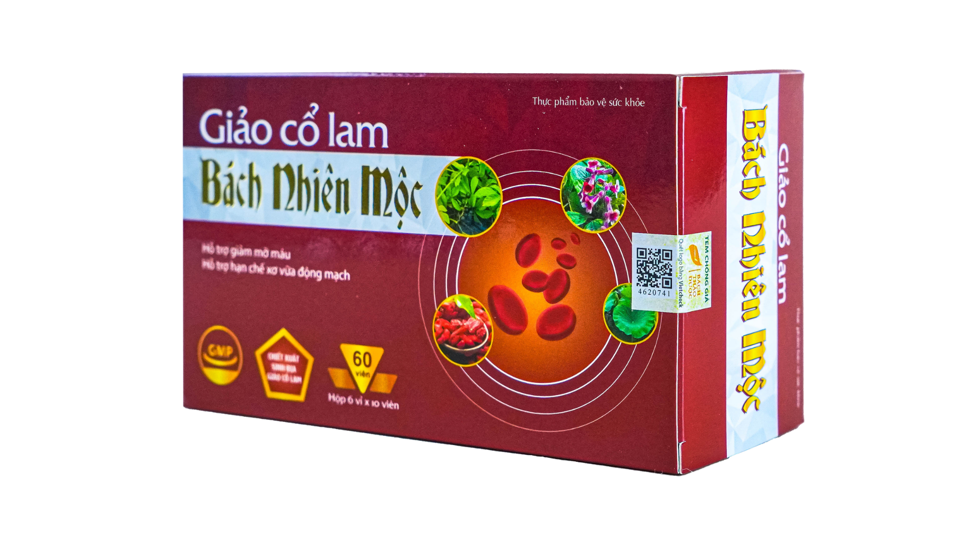 TPBVSK Giảo Cổ Lam Bách Nhiên Mộc
