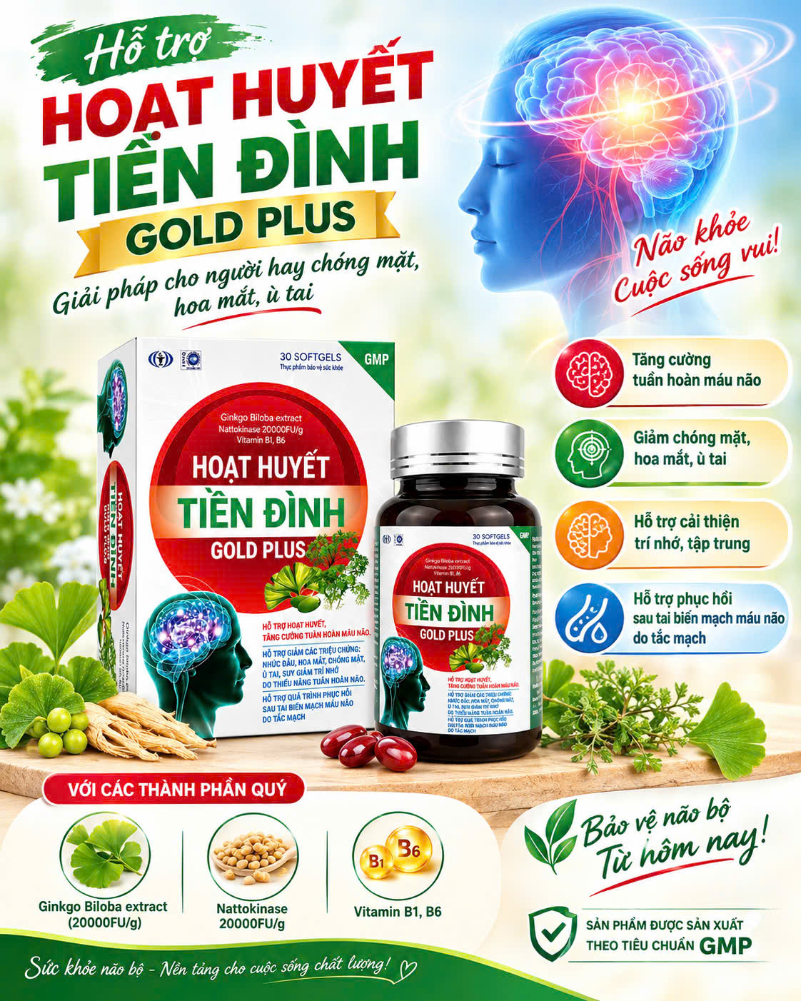 (Mua Sỉ Liên Hệ Zalo) Hoạt Huyết Tiền Đình Gold Plus giúp hoạt huyết, tăng cường tuần hoàn máu não hộp 30 viên hộp trắng