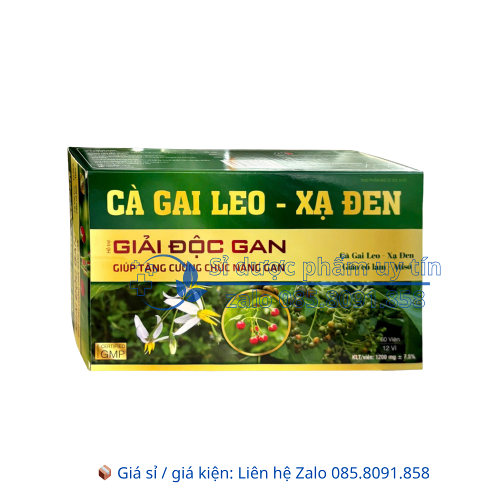 Viên uống Giải Độc Gan Cà Gai Leo – Xạ Đen giúp thanh nhiệt, giải độc gan và bảo vệ gan hộp 60 viên