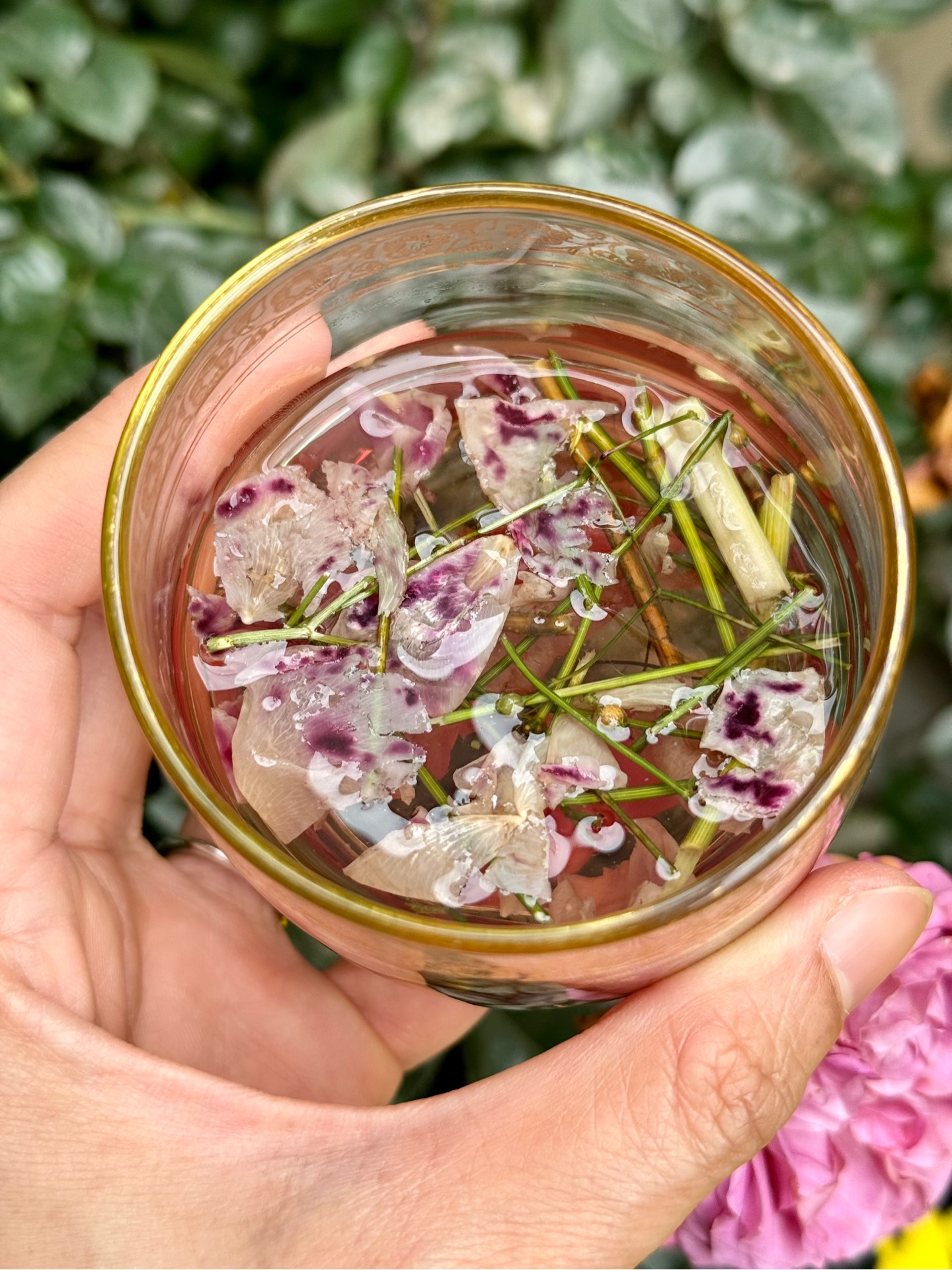 Trà Hoa Hồng Mùi Già