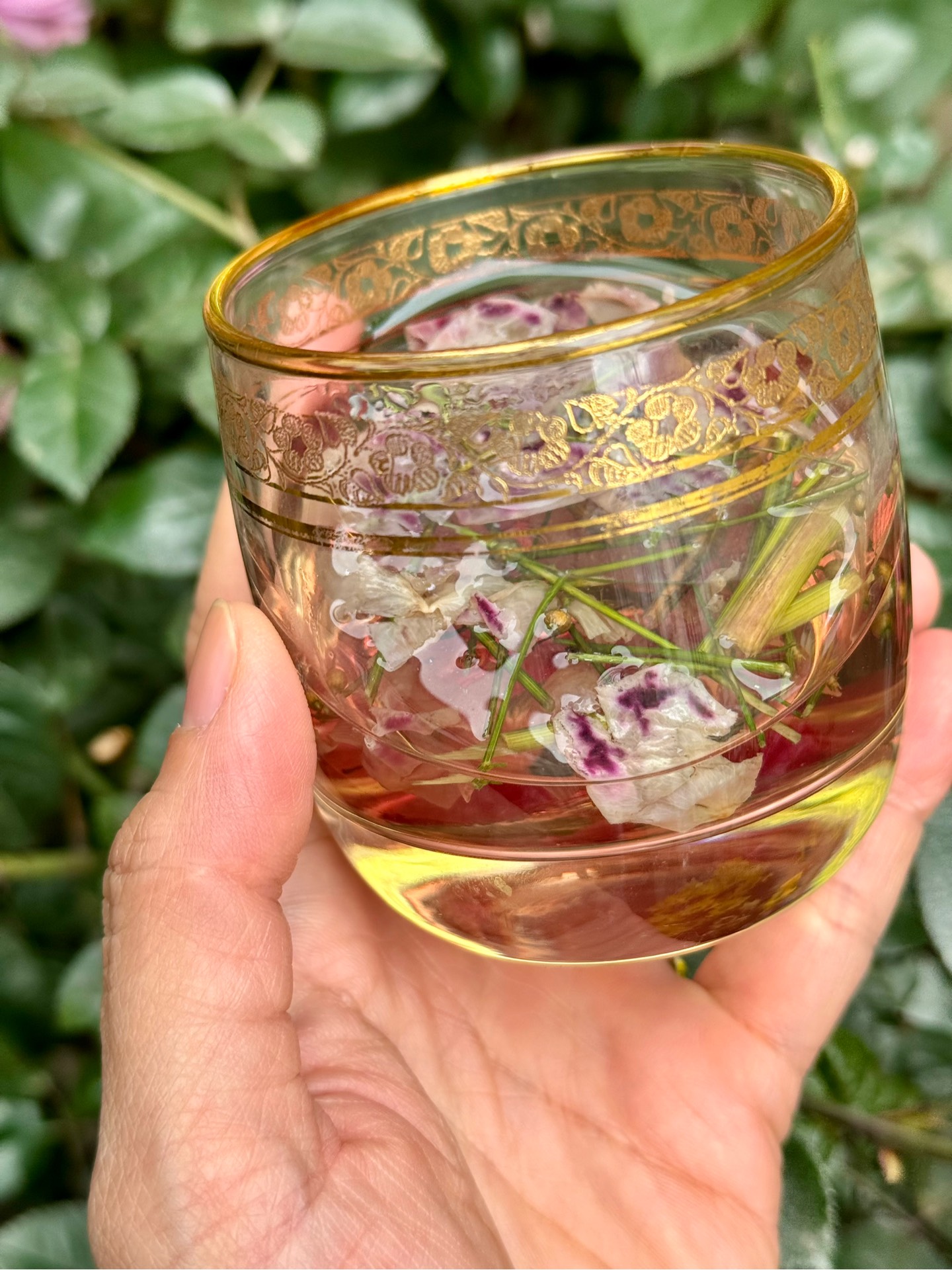 Trà Hoa Hồng Mùi Già