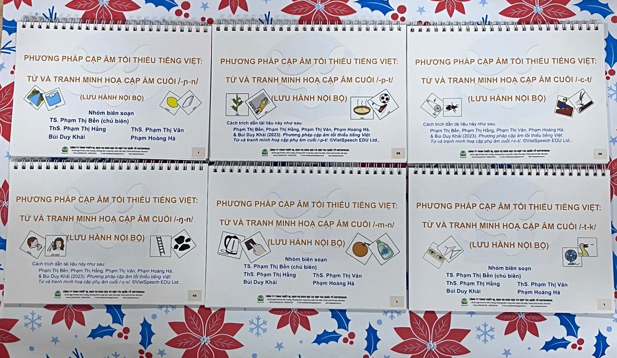 PHƯƠNG PHÁP CẶP ÂM TỐI THIỂU TIẾNG VIỆT: TỪ VÀ TRANH MINH HỌA 6 CẶP ÂM CUỐI /ng-n/, /nh-n/, /p-t/, /m-n/, /c-t/, /t-k/