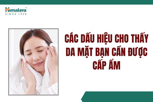Cách nhận biết da thiếu ẩm qua các dấu hiệu sau