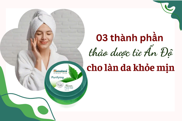 03 thảo dược Ấn Độ cho làn da khỏe mịn trong Gel dưỡng ẩm Himalaya Neem Face Gel