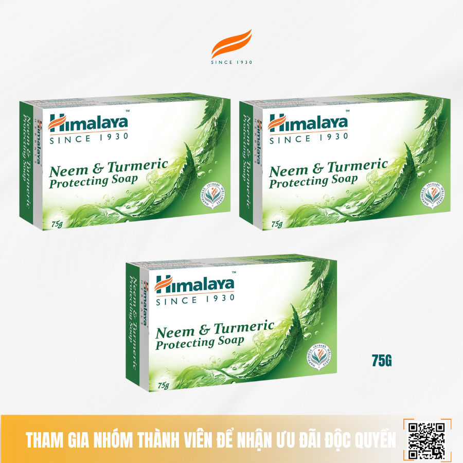 Combo 3 xà phòng giảm mụn cơ thể từ lá neem Himalaya Neem & Tumeric Soap (3 BÁNH)