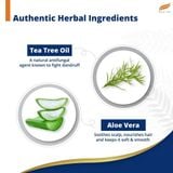 Dầu gội đầu ngăn ngừa gàu và giảm ngứa da đầu từ tinh dầu tràm trà Himalaya Anti-Dandruff Shampoo 180ml