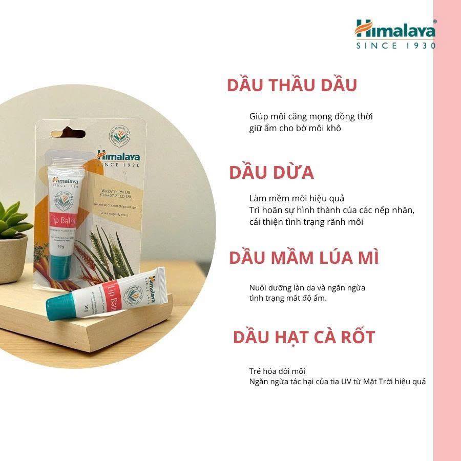 Son Dưỡng Môi Lip Balm 10gm