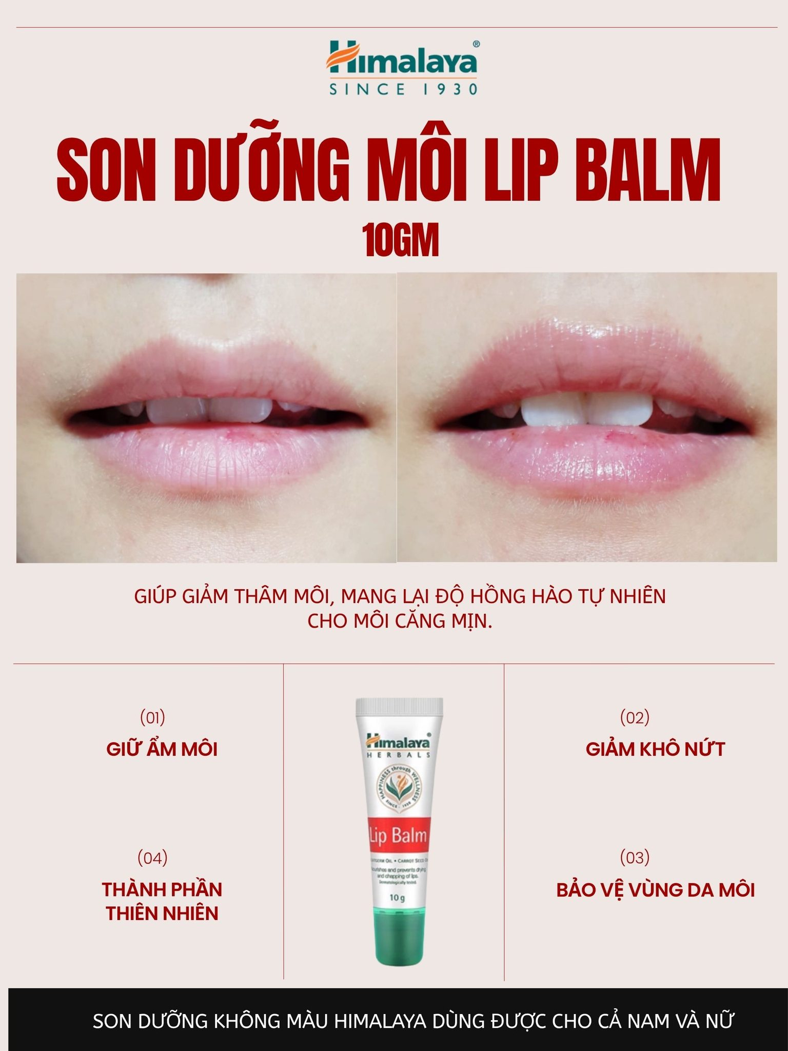 Son Dưỡng Môi Lip Balm 10gm