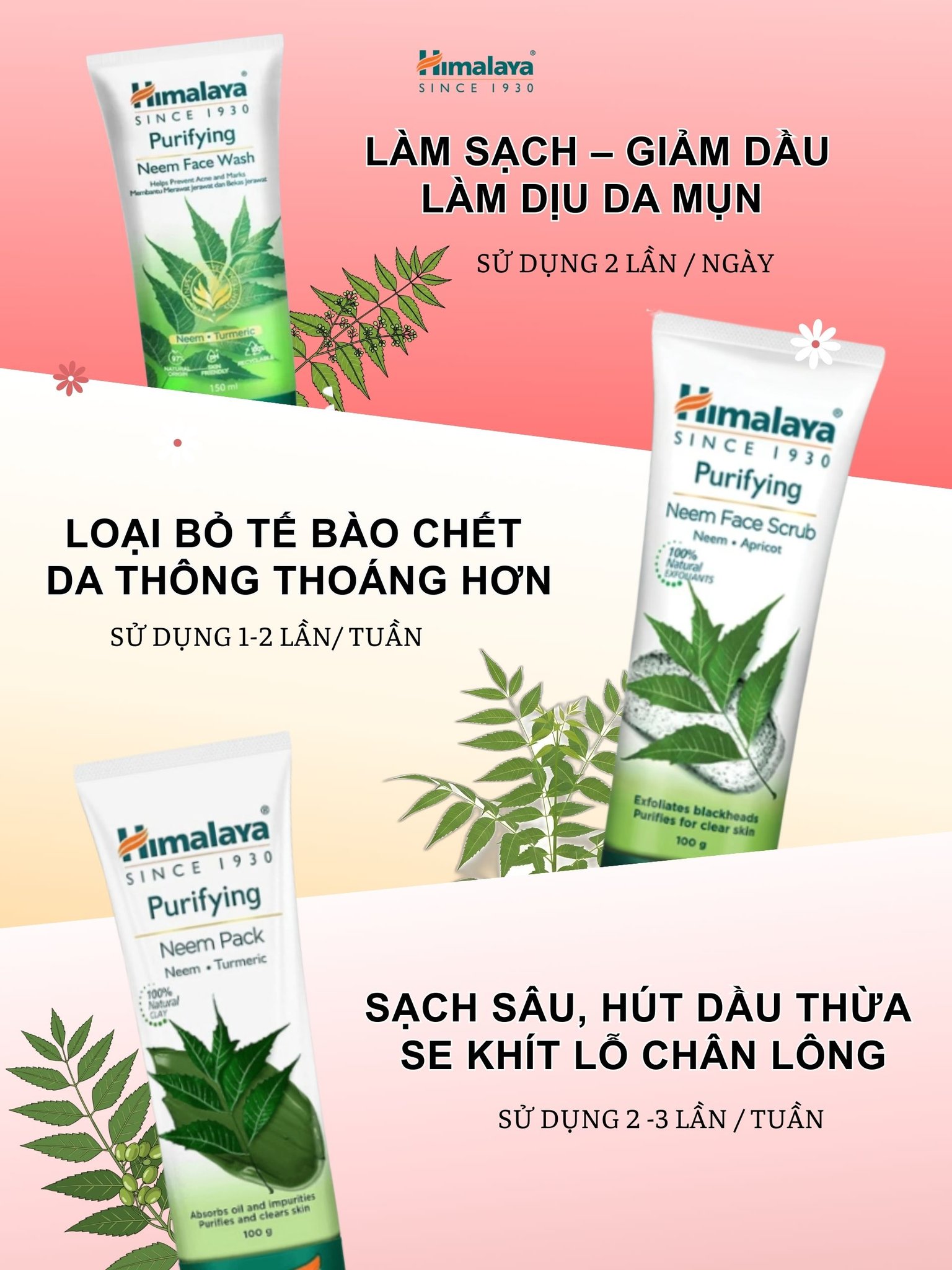 Mặt nạ đất sét lá neem loại bỏ mụn, bã nhờn và mờ thâm Himalaya Neem Face Pack 50ml