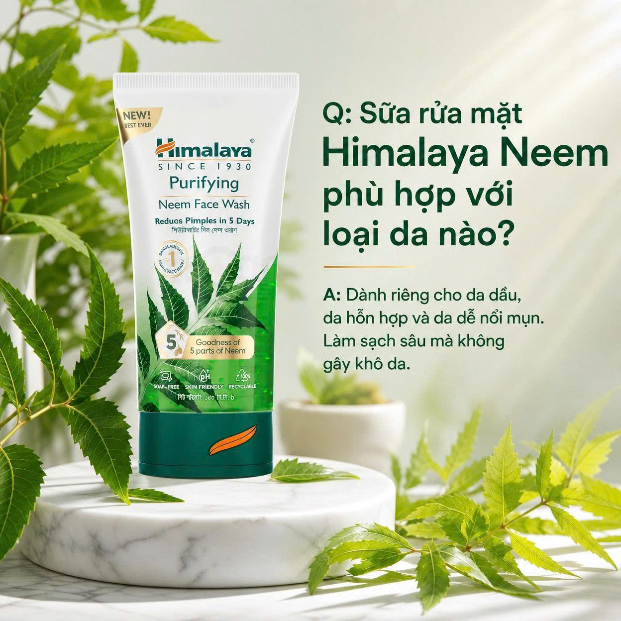 Sữa rửa mặt dịu nhẹ giúp giảm mụn chiết xuất từ lá neem Himalaya Purifying Neem Face Wash 150ml