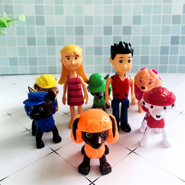 Set chó cứu hộ + người