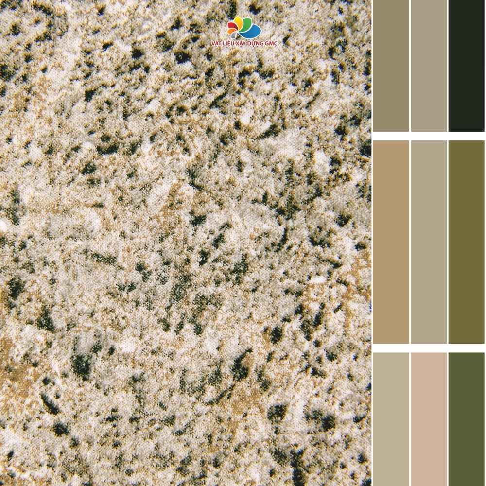 Hình ảnh bài viết