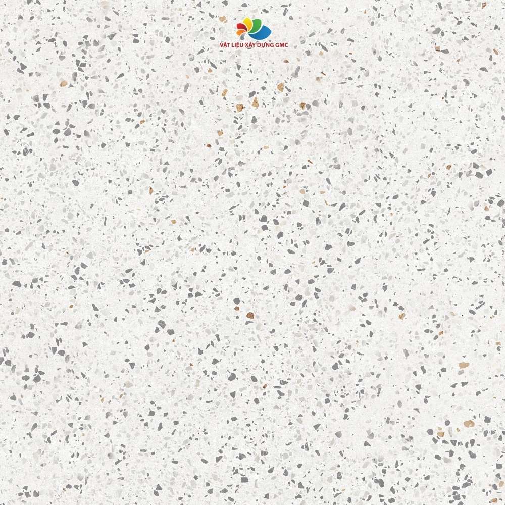 Hình ảnh bài viết