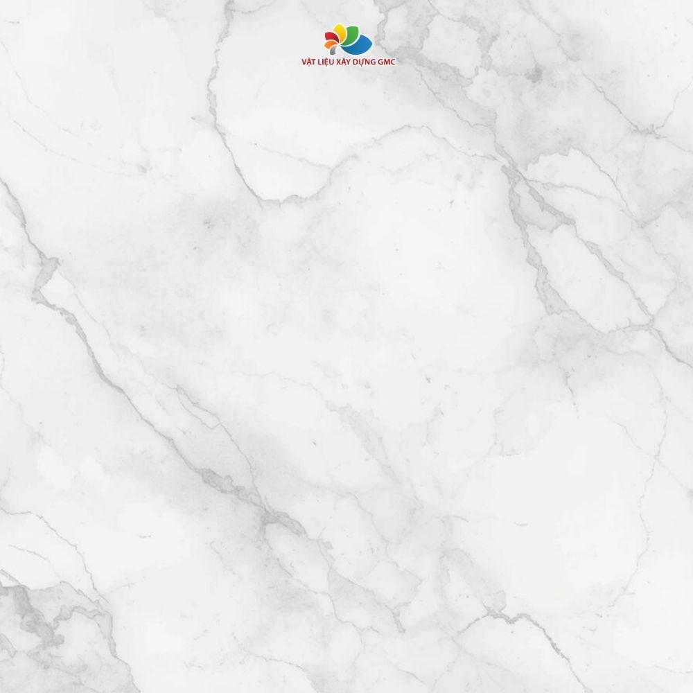 Hình ảnh bài viết