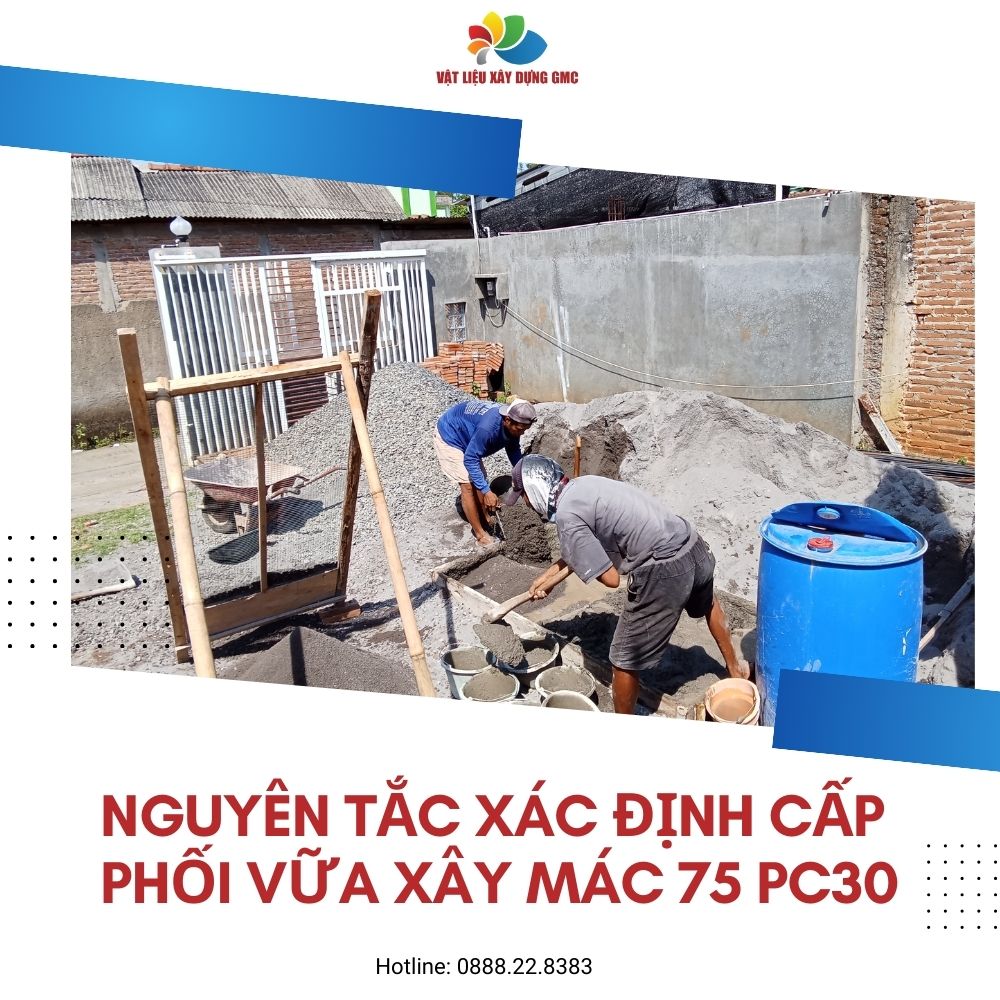 Hình ảnh bài viết
