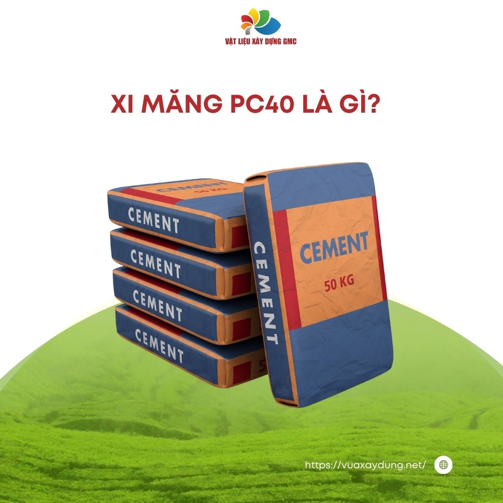 Hình ảnh bài viết