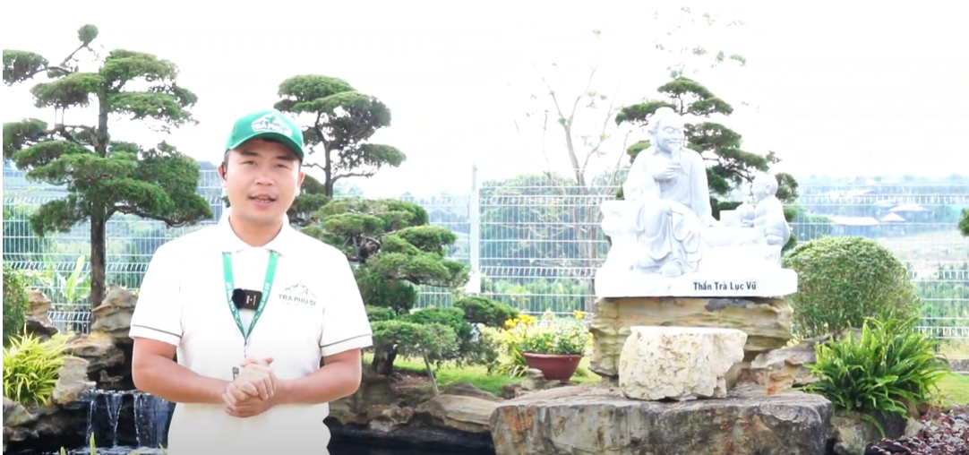 Tìm hiểu quy trình làm trà tại Nhà Máy sản xuất