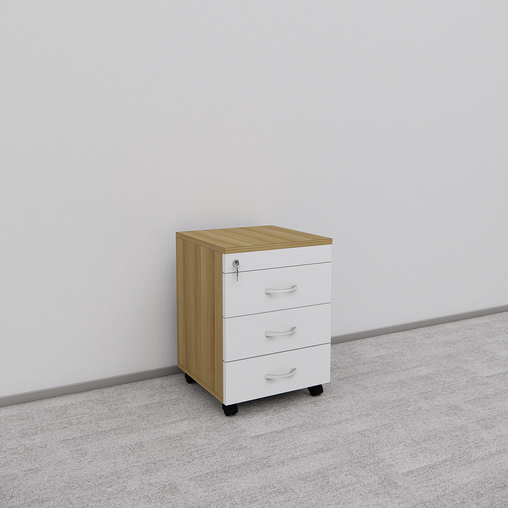 Tủ Hồ Sơ Di Động SMTDD008 40cm x55cm