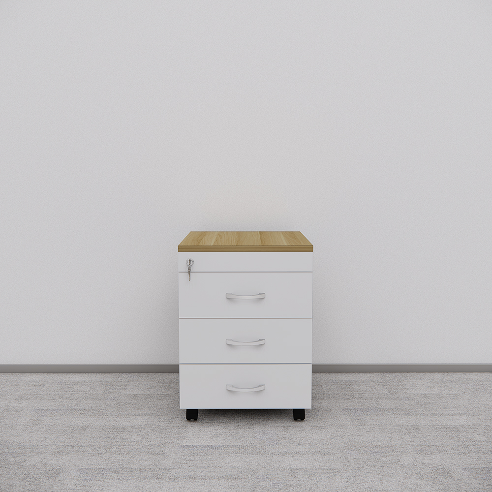 Tủ Hồ Sơ Di Động SMTDD008 40cm x55cm