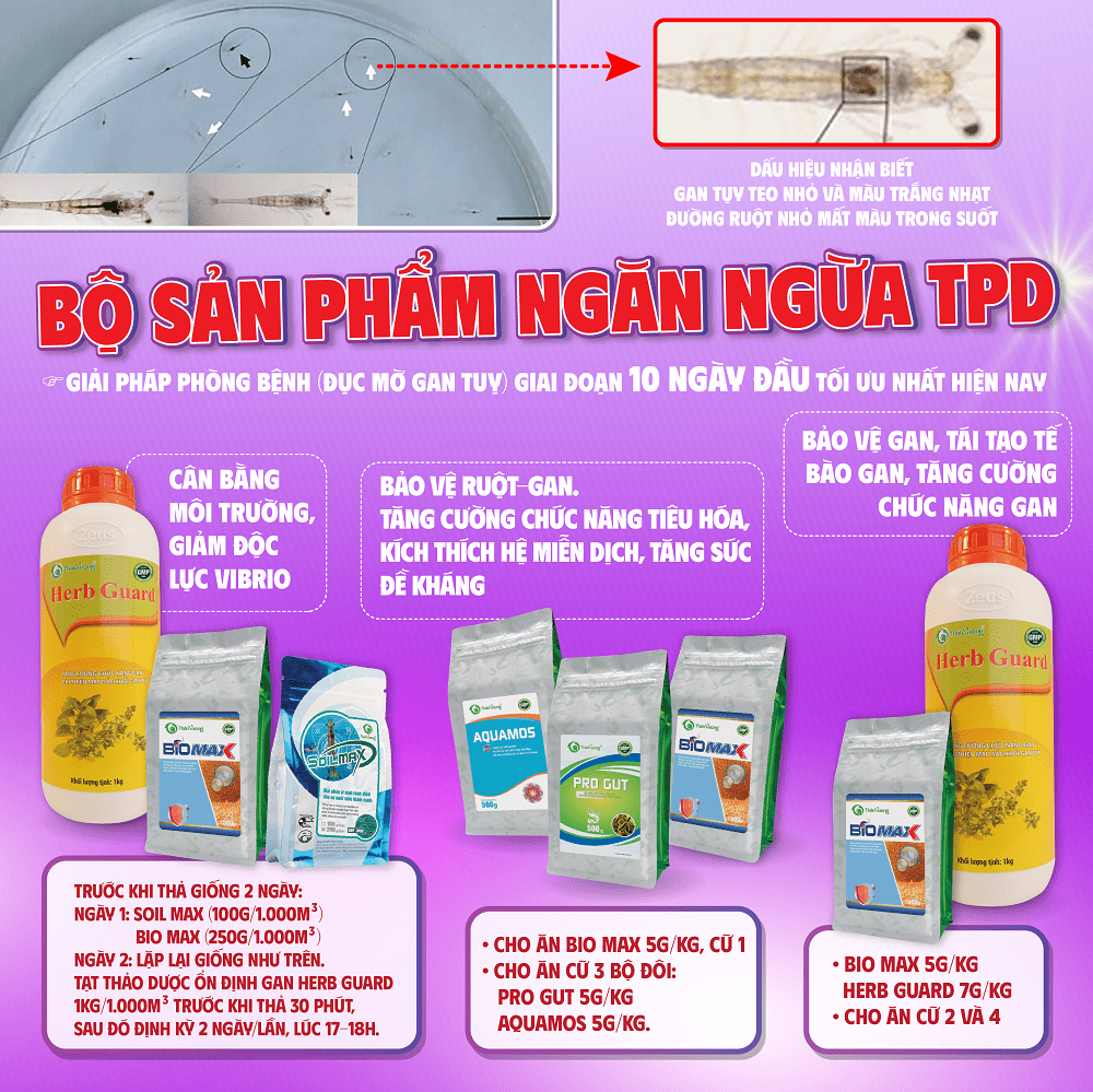 BỘ SẢN PHẨM NGĂN NGỪA TPD