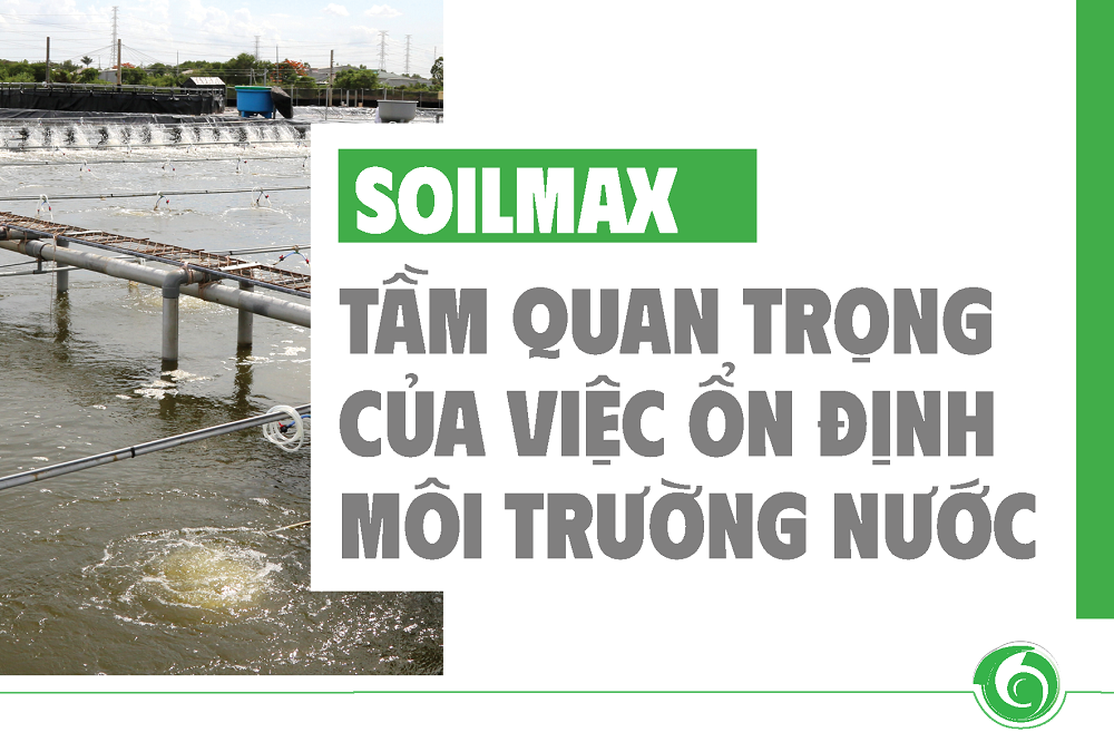 TẦM QUAN TRỌNG CỦA VIỆC ỔN ĐỊNH MÔI TRƯỜNG NƯỚC
