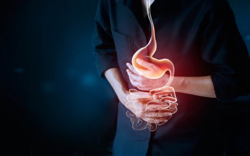 48 giờ đầu tiên sau kỳ nghỉ Tết được xem là “giai đoạn hạ nhiệt” cho hệ tiêu hóa.