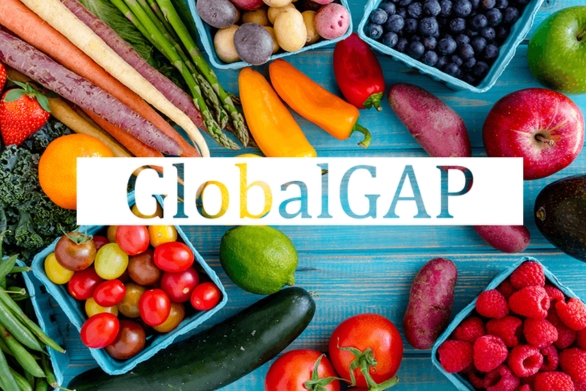 Hãy kiểm chứng các tem kiểm định để lựa chọn trái cây sạch và an toàn.@clv.vn