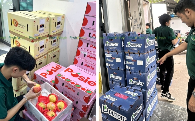 Không chỉ dừng ở việc cung cấp sản phẩm, Phuhoa Fresh còn được xem như một gợi ý tham khảo cho người tiêu dùng khi lựa chọn trái cây phù hợp với tình trạng tiêu hóa hậu Tết. 