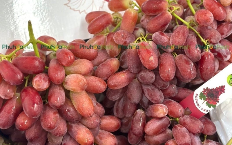 Nho là loại trái cây tốt cho thận nhờ chứa hàm lượng cao resveratrol và flavonoid.@phuhoafresh.com
