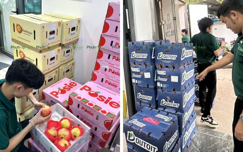 Phuhoa Fresh là một trong những địa điểm ưu tín để tìm mua trái cây và thực phẩm tốt cho sức khỏe.@phuhoafresh.com