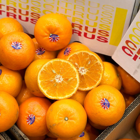 Quýt Nội Địa Trung