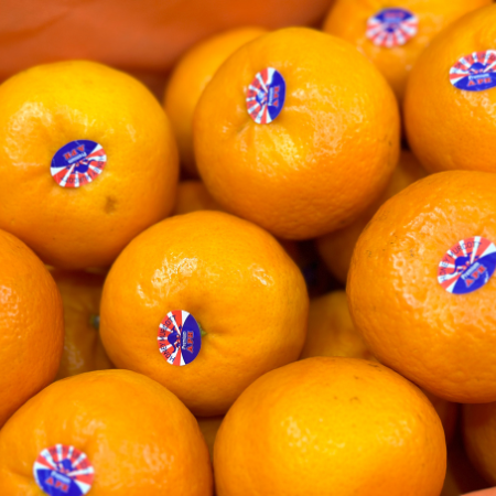 Quýt Nội Địa Trung