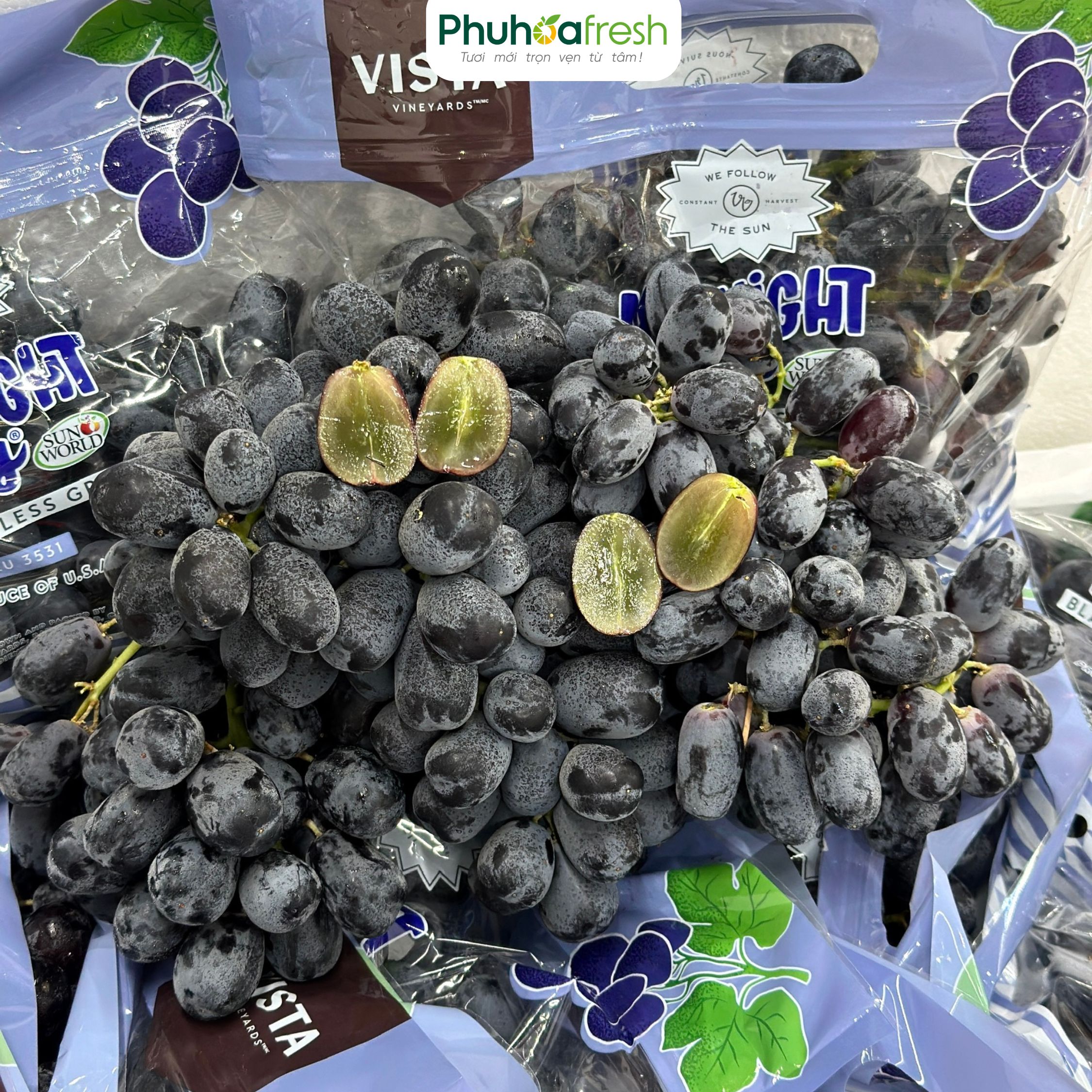 Nho Đen Mỹ