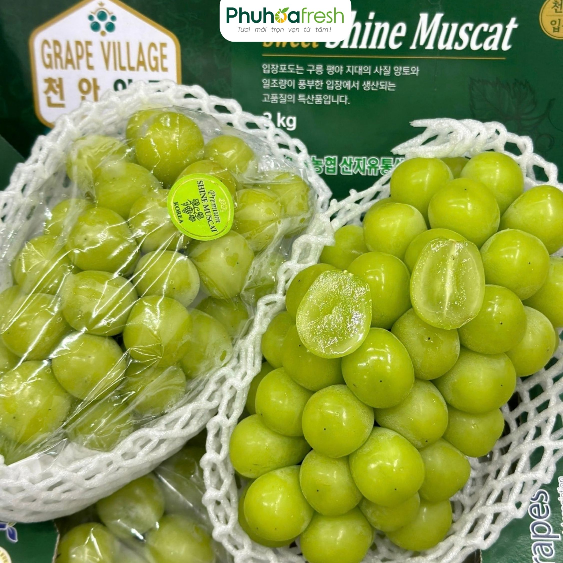 Nho Mẫu đơn Hàn Quốc
