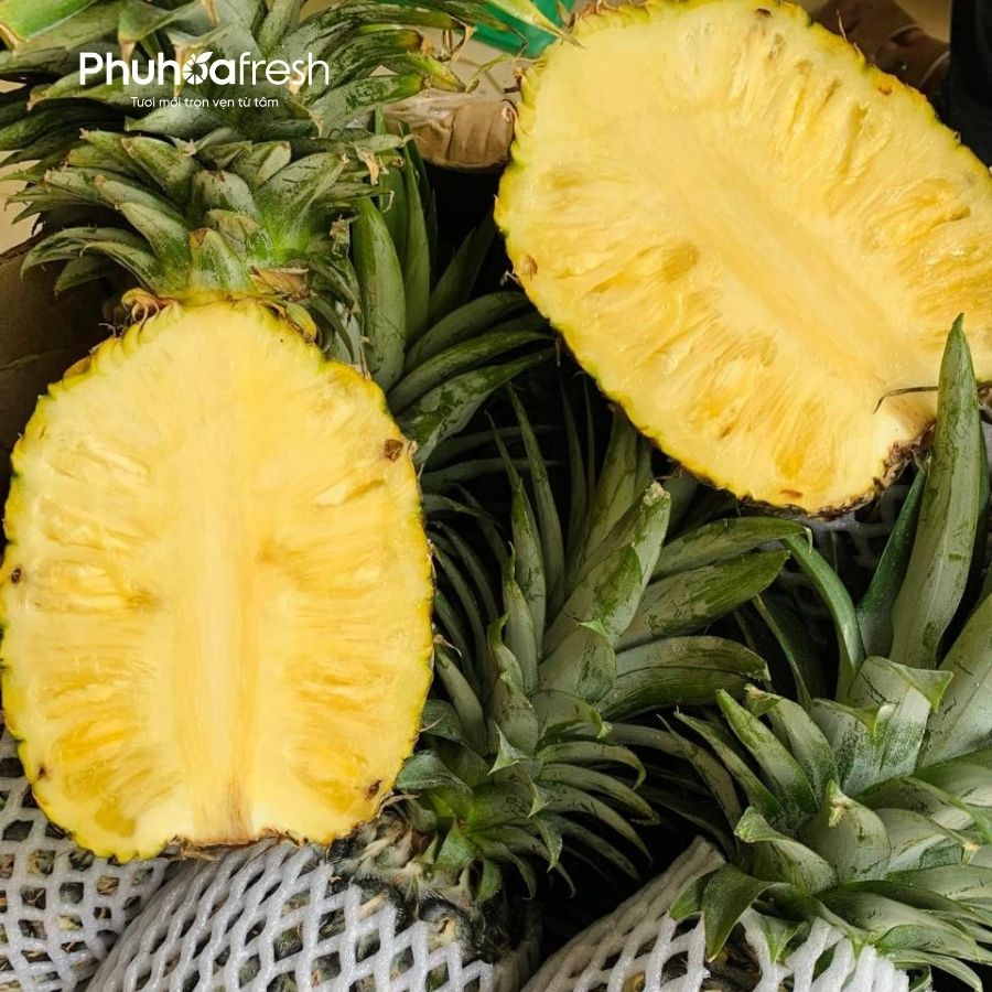 Dứa MD2 Hữu Cơ