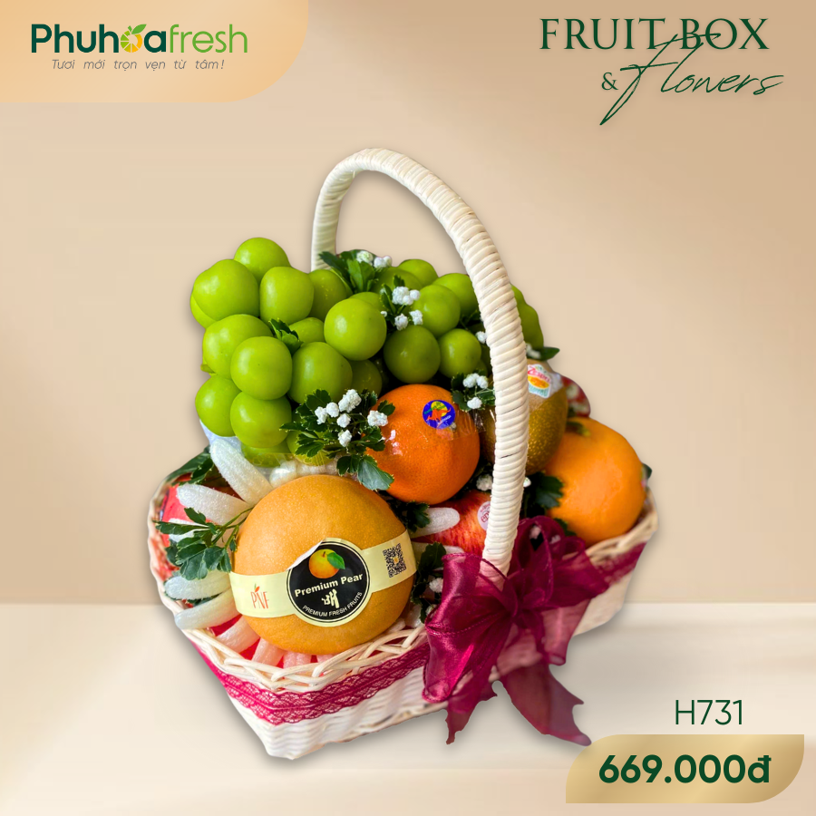 Quà Tặng Trái Cây - H731