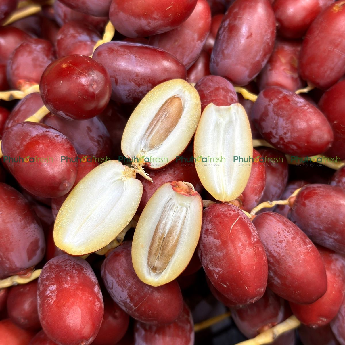 Chà Là Đỏ Thái Lan