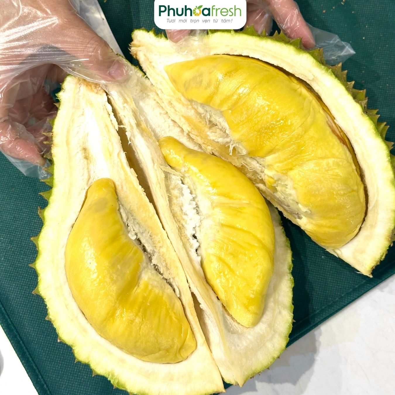Sầu Riêng Musang King