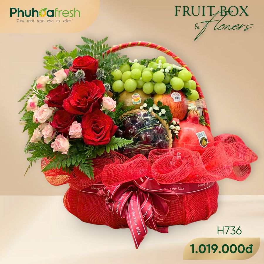 Quà Tặng Trái Cây - H736