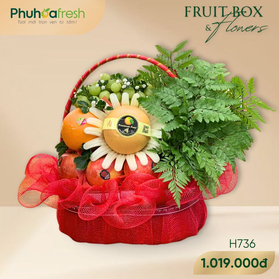 Quà Tặng Trái Cây - H736