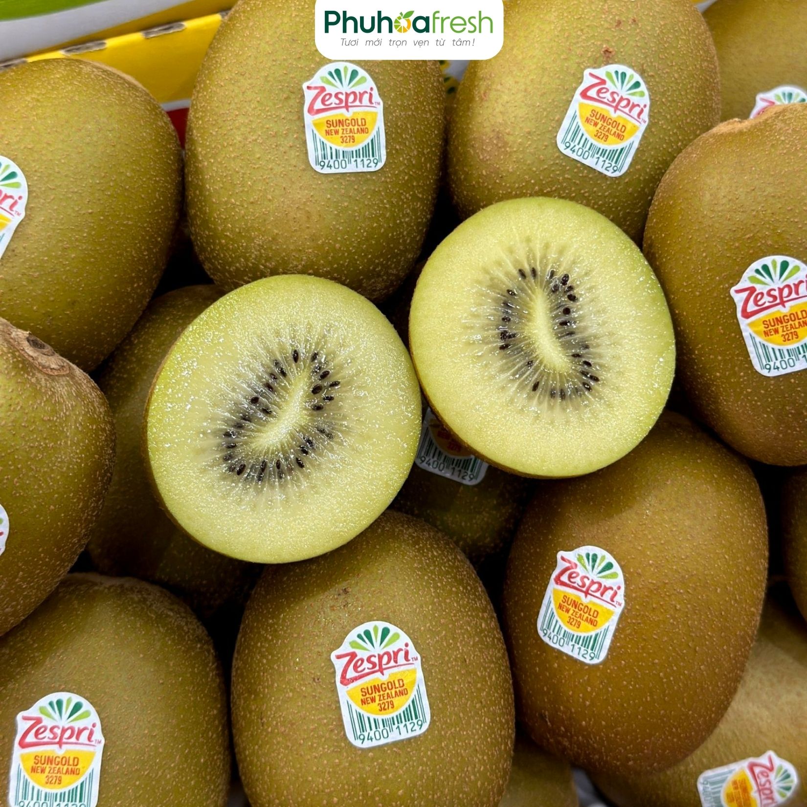 Kiwi Ruột Vàng New Zealand