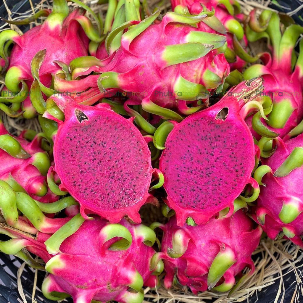 Thanh Long Ruột Đỏ