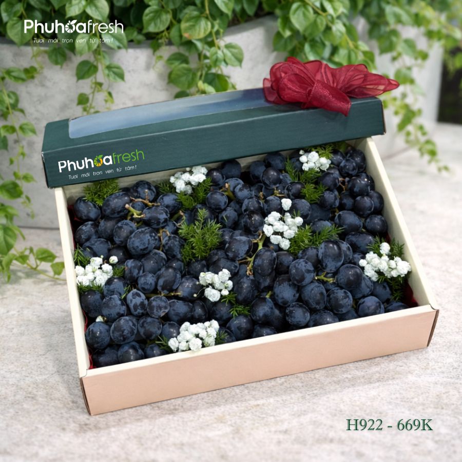 SET TRÁI CÂY _ H922