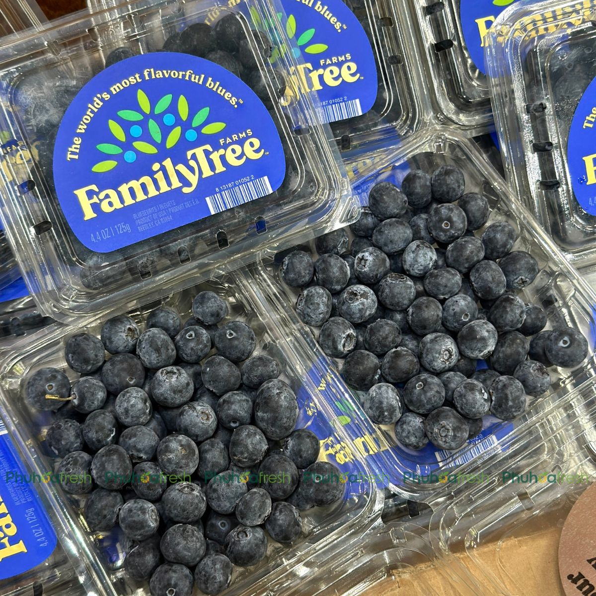 Việt Quất USA (Hộp 125g)