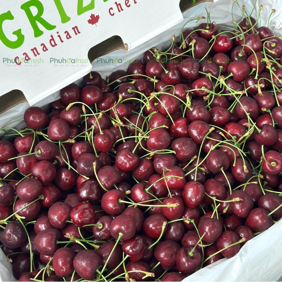 Cherry Canada Size 10