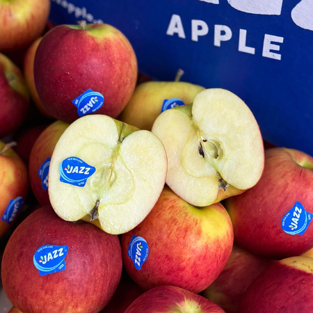 Táo Jazz New Zealand