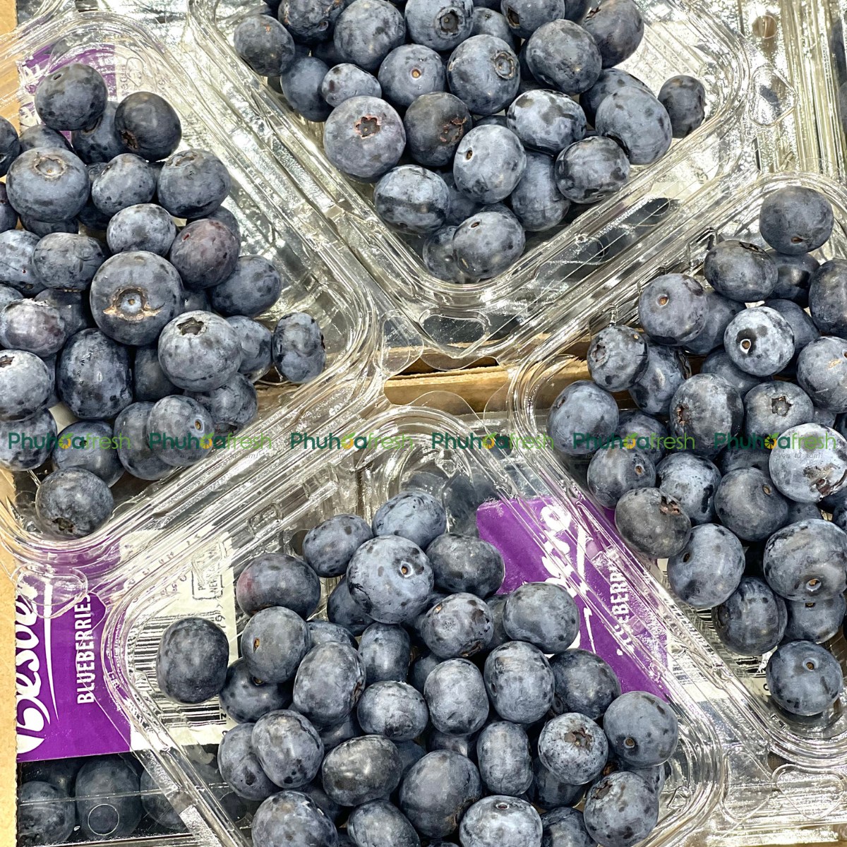 Việt Quất NewZealand - Hộp 125GRAM